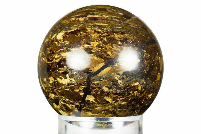 Golden Amphibolite Sphere - Western Australia #309139